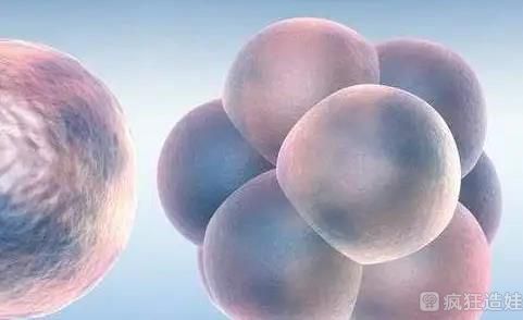 在西京医院做试管婴儿大概费用要多少钱？供卵第三代试管多少钱？