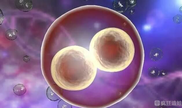 生三胎能第四代试管婴儿做男孩吗？要花多少钱？