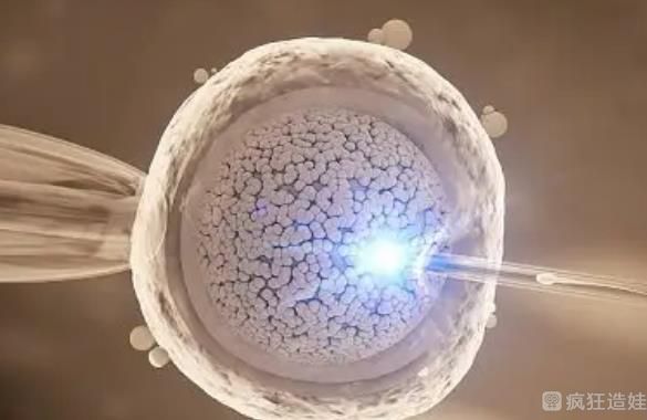 河北省计划生育科学技术研究院做试管婴儿技术怎么样？供精试管胚胎移植成功率高吗？