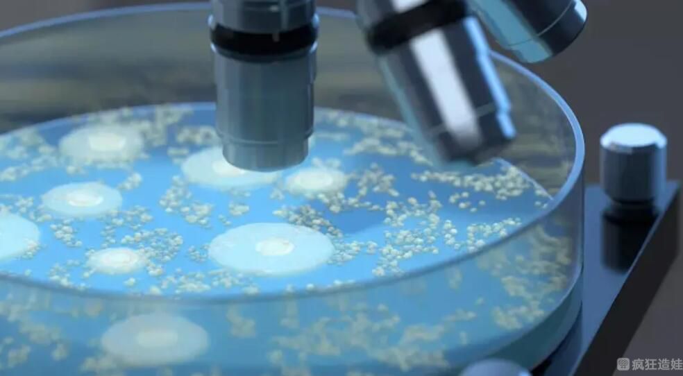 冻胚移植第8天没什么感觉是失败了吗？冻胚移植失败表现