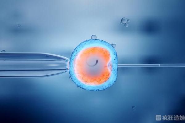 2023南华大学附属第一医院能做供卵第三代试管婴儿吗？附胚胎移植成功率费用参考？