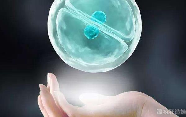 上海曙光医院能做供卵第三代试管婴儿吗？胚胎移植成功率高吗？