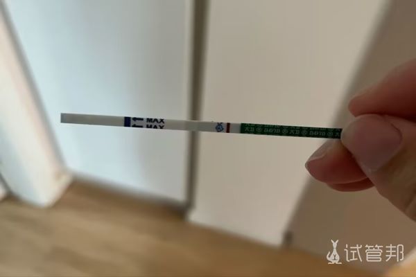 试管婴儿取卵结束，成功移植2个鲜胚！