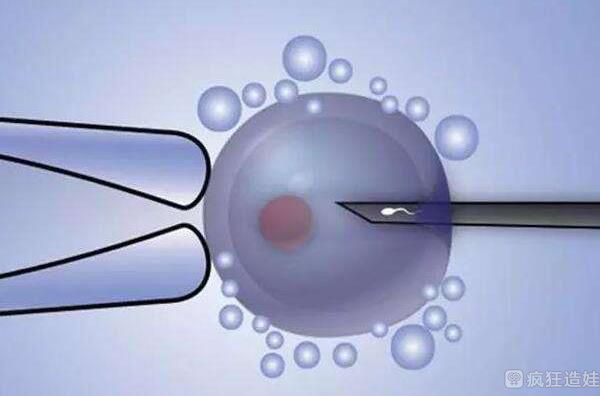 湖州供卵第三代试管婴儿医院排名？附医院名单？