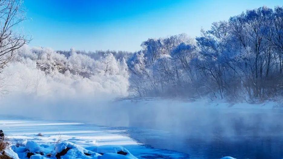 2022黑龙江双角子宫做试管婴儿成功率咋样？