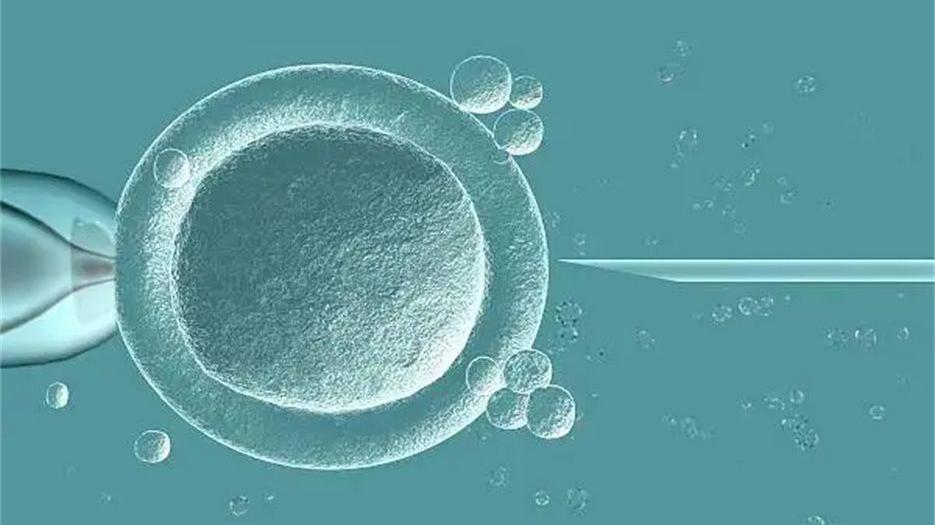长春市妇产医院可以借卵做供卵试管吗？附2022供卵试管流程条件