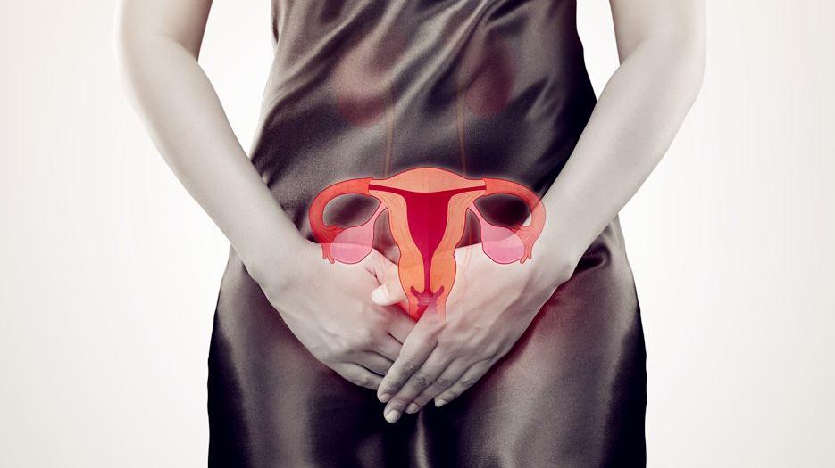 热点：两侧输卵管切除能做试管婴儿吗？做试管成功率高吗？2022全新分析