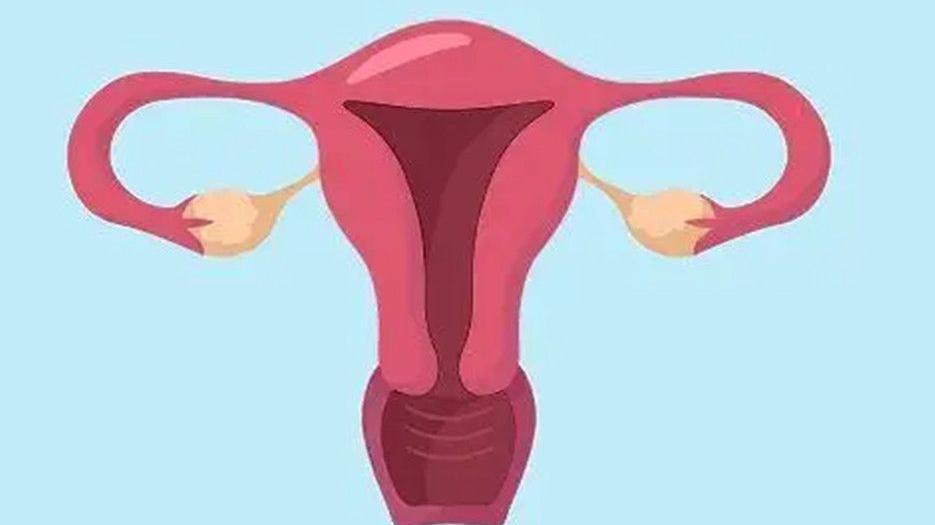 一分钟带你了解子宫腺肌症做试管的步骤，看完不再迷茫