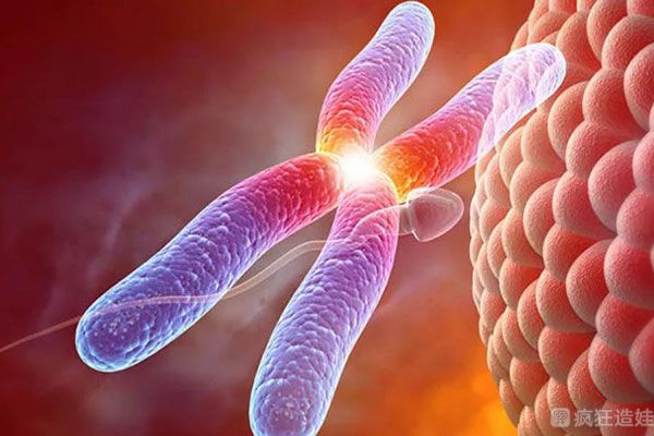 2025年国内哪家私立医院会做三代试管婴儿？