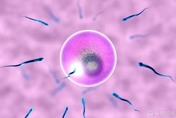 长春供卵第三代试管婴儿医院排名？供卵第三方助孕费用多少钱？