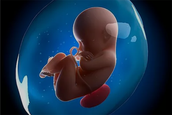 试管婴儿费用多少钱？明细表告诉你每个步骤的具体支出！