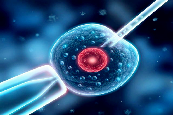 三种女人不能做试管？试管婴儿不是人人都可以做的