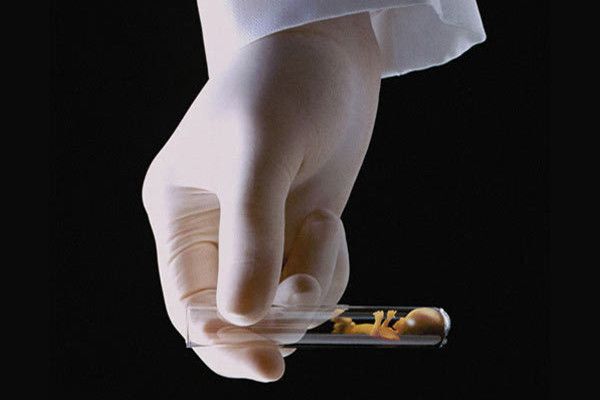 试管婴儿的利与弊 三个方面来告诉你试管婴儿的利与弊