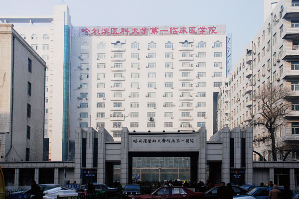 哈尔滨医科大学附属第一医院成功率大概在30%-50%左右