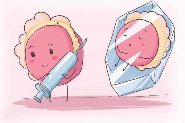 取卵后移植鲜胚的条件有哪些，记住这四个条件缺一不可