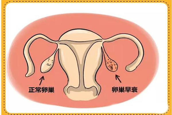 卵巢早衰做试管如何增加卵子数量？这两个方法有必要了解一下