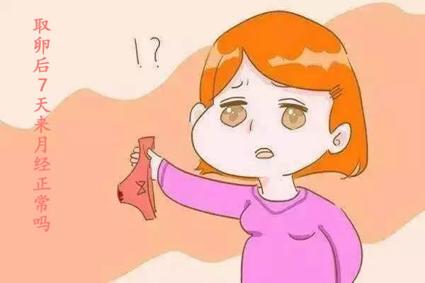 取卵后7天来月经正常吗，专家回复正常现象不用惊慌