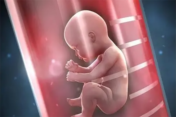 高龄女性做试管必须满足四个条件，否则医生也没办法！