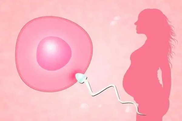 生殖专家揭秘做试管婴儿对母体会有什么影响