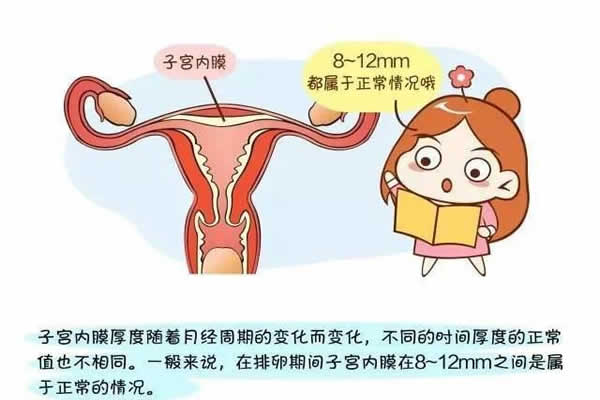 做试管前女性调理子宫的办法和日常的保养方式