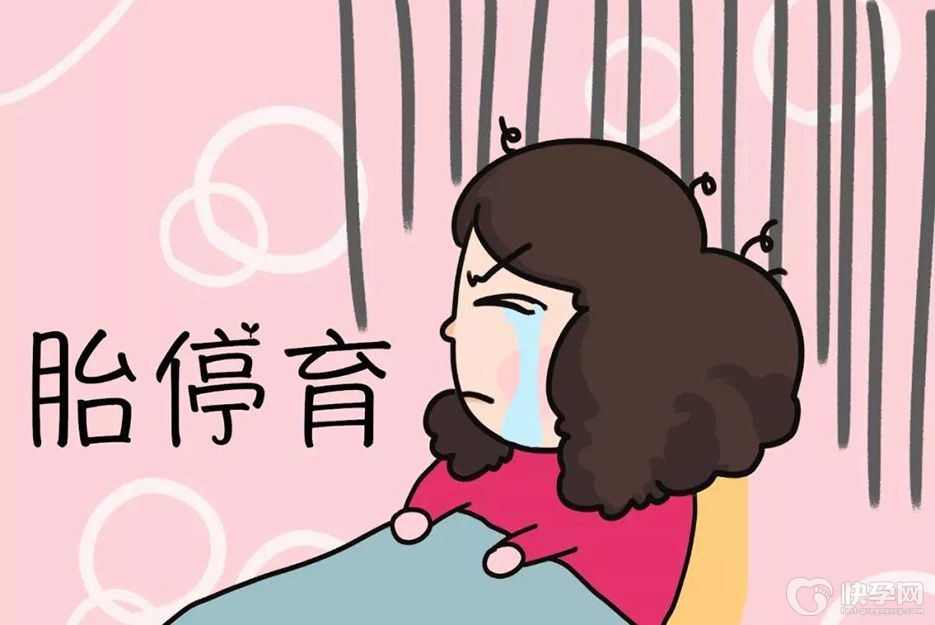 试管婴儿中哪类女性易发生胎停育，六类女性属于高发人群