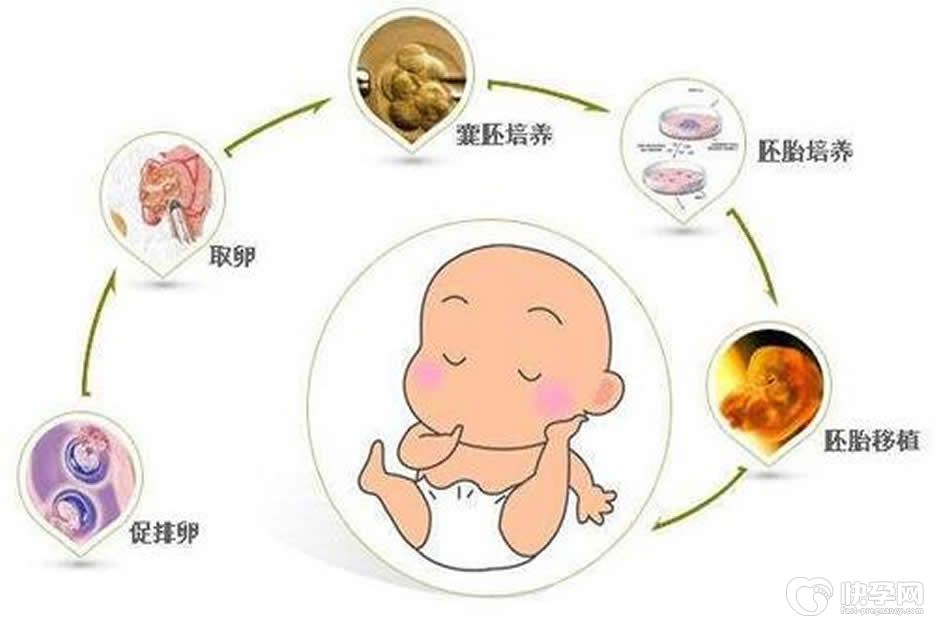 做试管婴儿疼不疼？过来人告诉你，这5个方面需要过关斩将！