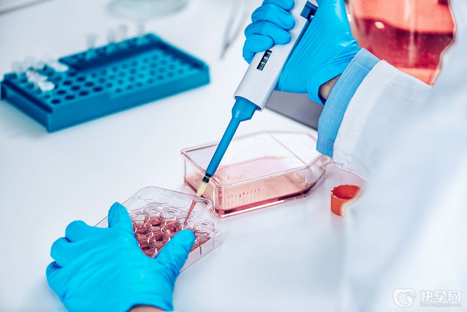 试管婴儿需要多少个卵子？专家解读amh跟取卵数量