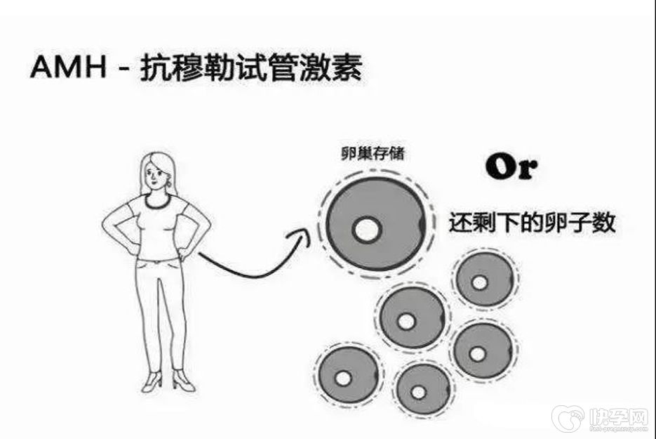 卵巢早衰AMH值多少可以做试管婴儿？当AMH值小于2ng/ml要注意了