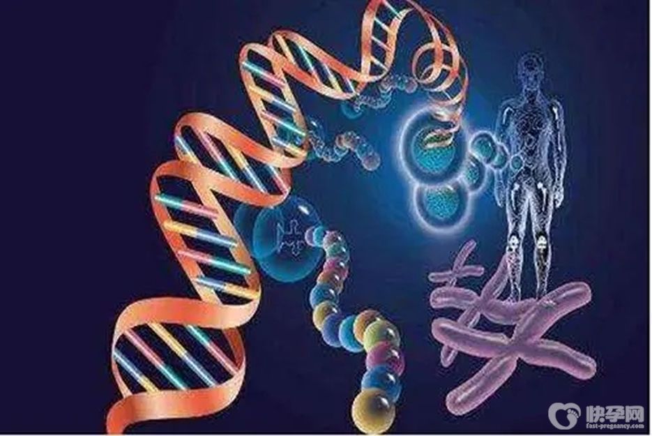 染色体异常能做第几代试管婴儿-第三代试管婴儿不会让你失望