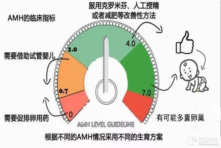 34岁amh值0.79能自然怀孕吗？选择试管技术让你更快好孕