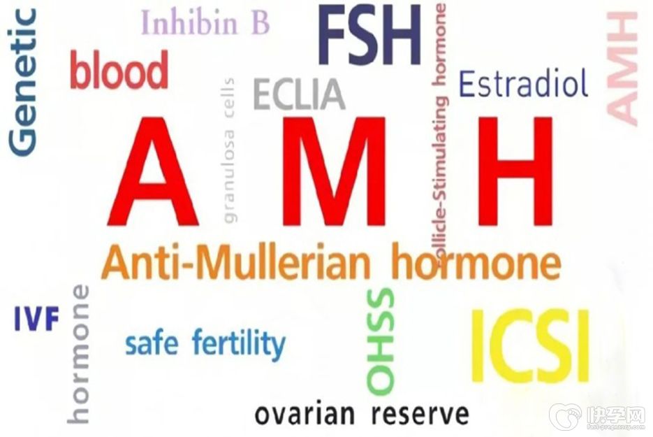 amh0.39能做试管婴儿吗？听听生殖专家的意见