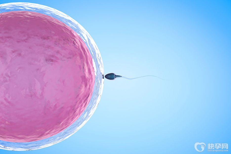 试管婴儿进周前的七大养卵建议，好的卵子需要培养