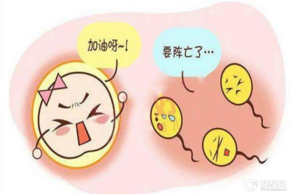 男性死精症可以做试管婴儿吗？需要从三个方面来分析