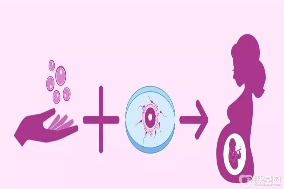 供卵生的孩子还是自己的吗？专家从两个方面为你解惑