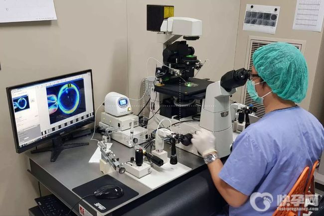 试管婴儿冷冻胚胎移植成功率高吗？专家分析影响冻胚移植成功率三要素