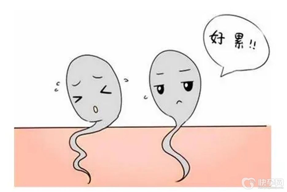 男性精子活力低只能做试管么？试管不是唯一的方式，但是最佳的助孕途径