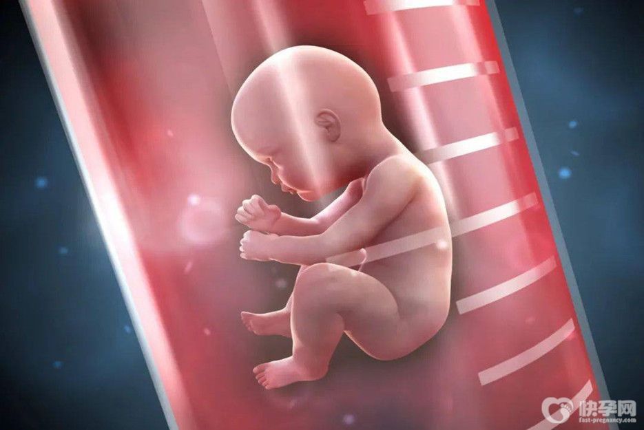 女性雄激素高可以做试管婴儿吗？专家建议先治疗后试管