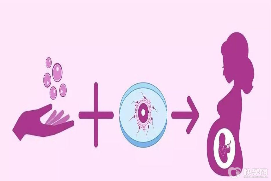 为什么说58岁供卵试管不能随意进行？看完你就明白了
