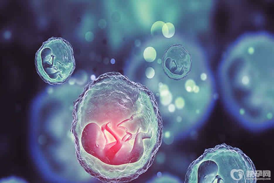 试管婴儿失败多久后才能做第二次试管？时间有长短视自身情况而视