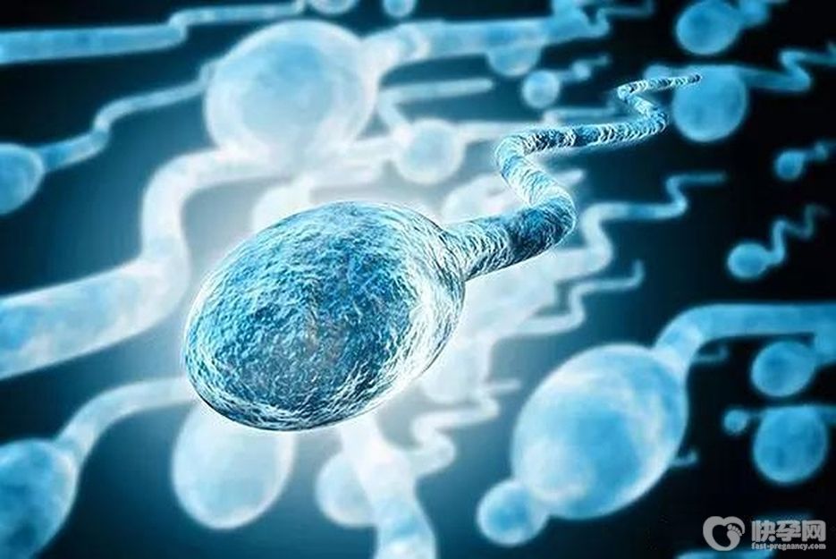 盘点导致试管婴儿失败的5个男方因素，不要再让女人“背锅”了