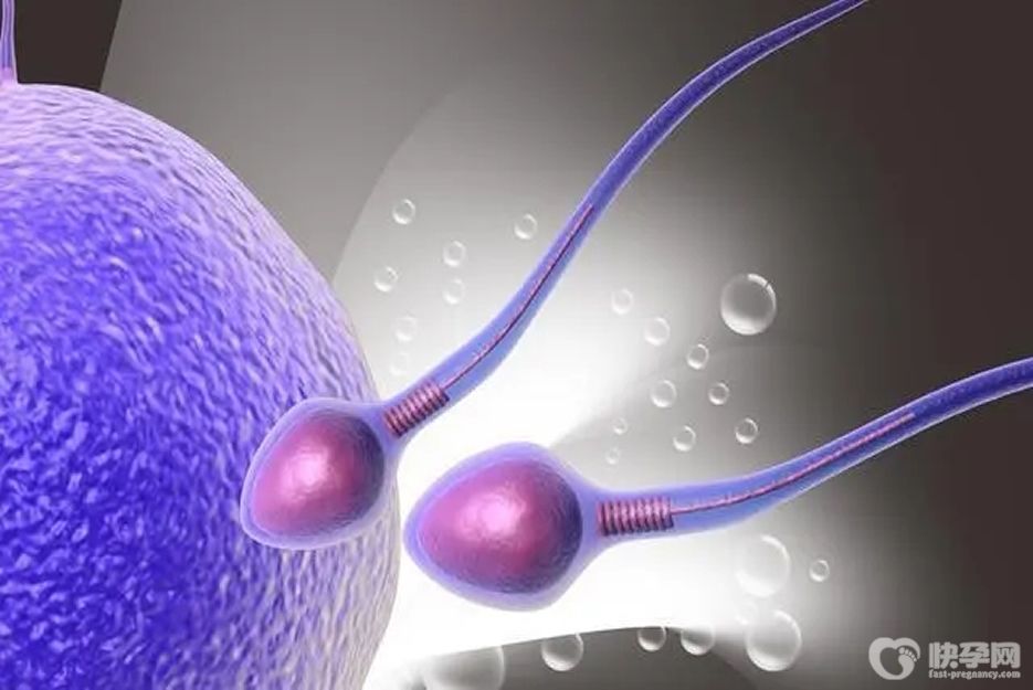 三条活动精子能做试管吗？质量是关键