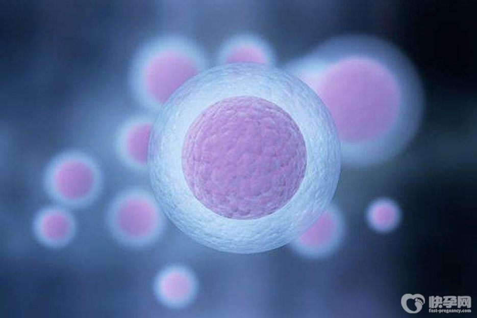 试管婴儿取卵数量受5个因素左右，多一个卵就多一份希望