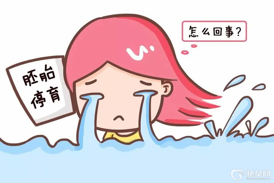 四次胎停育能做三代试管吗？ 想要出奇迹，大胆去尝试！