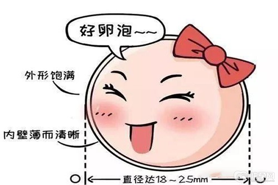 38岁试管促排基础卵泡13个只长大了3个-卵泡个数不是影响成功率的唯一指标