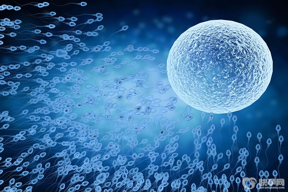 没有戒烟酒可以取精做试管吗-请摸着良心问问是应酬重要还是宝宝的健康更重要