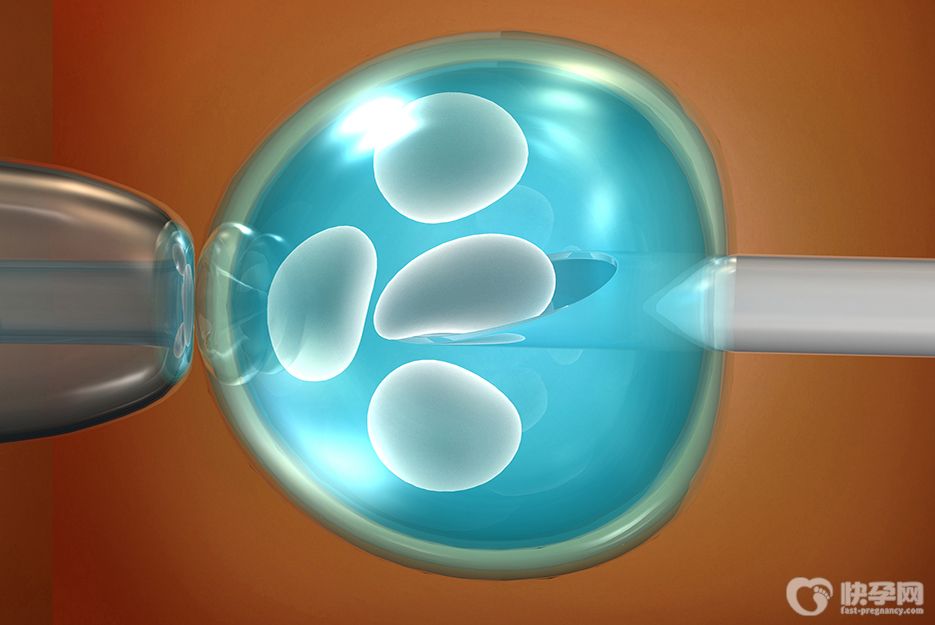 试管前孕酮高能移植鲜胚吗？能-但会影响胚胎种植成功率