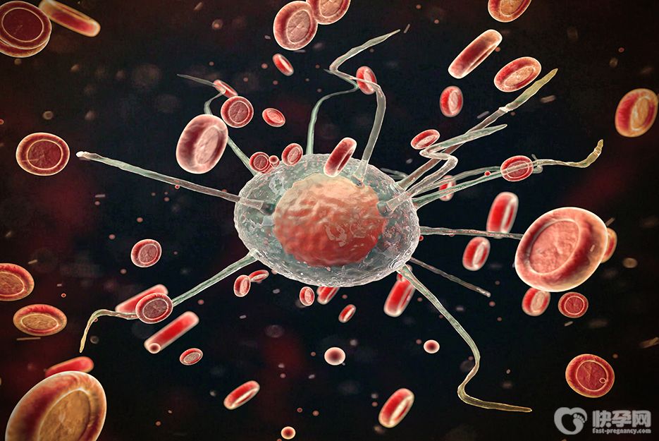 找自己妹妹去私立医院做供卵试管可以吗-千万别这么做！