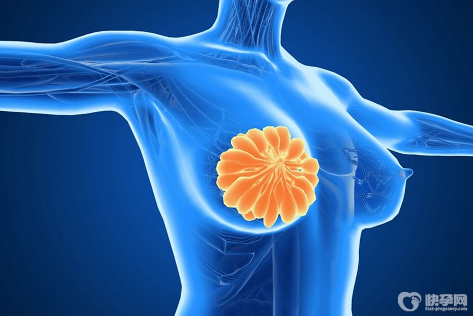 一文解读：乳腺结节三类能做试管婴儿吗