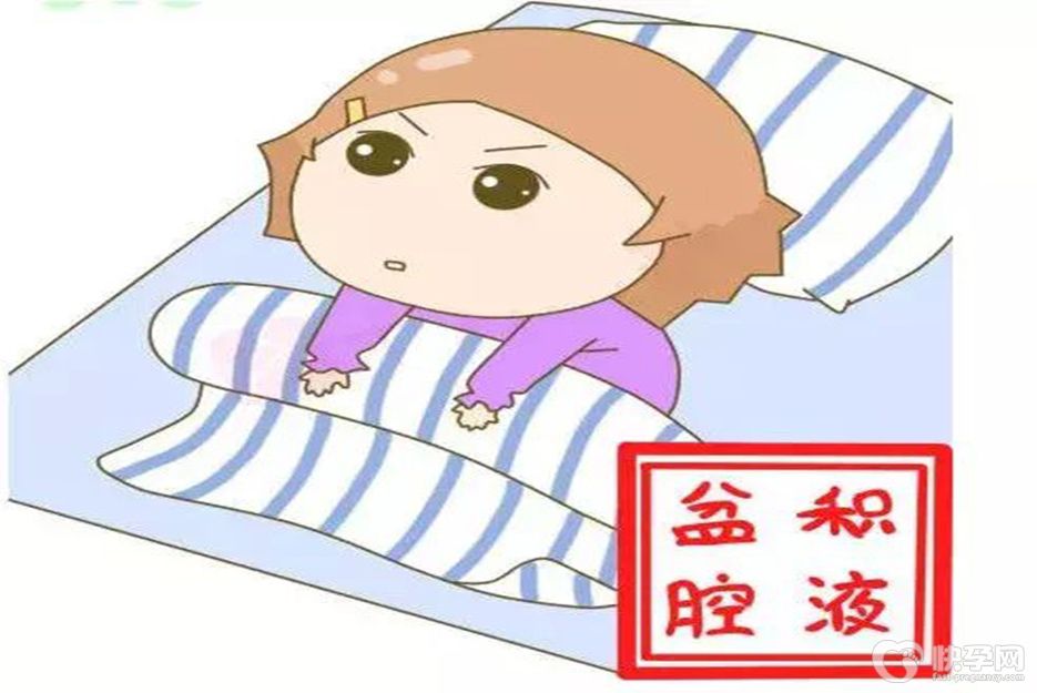 盆腔积液到底会不会影响试管移植？专家给出了这样的回答