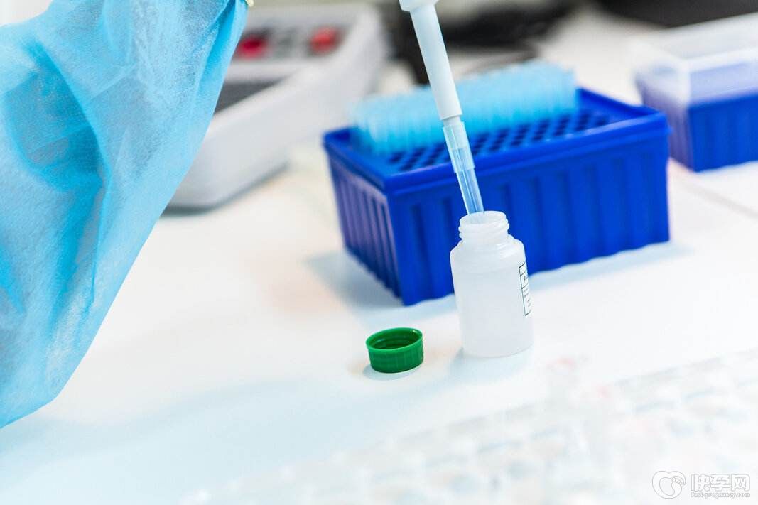 试管婴儿移植后几天着床-守得云开见月明，静待花开终有时